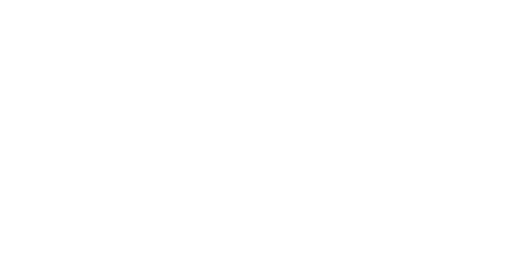 Menzi